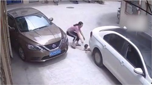 汽车视频爆料大全最新,视频爆料大全深度解析  第3张